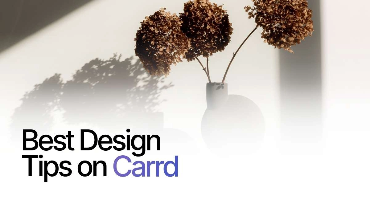 Best Design Tips for Beginners on Carrd in 2026