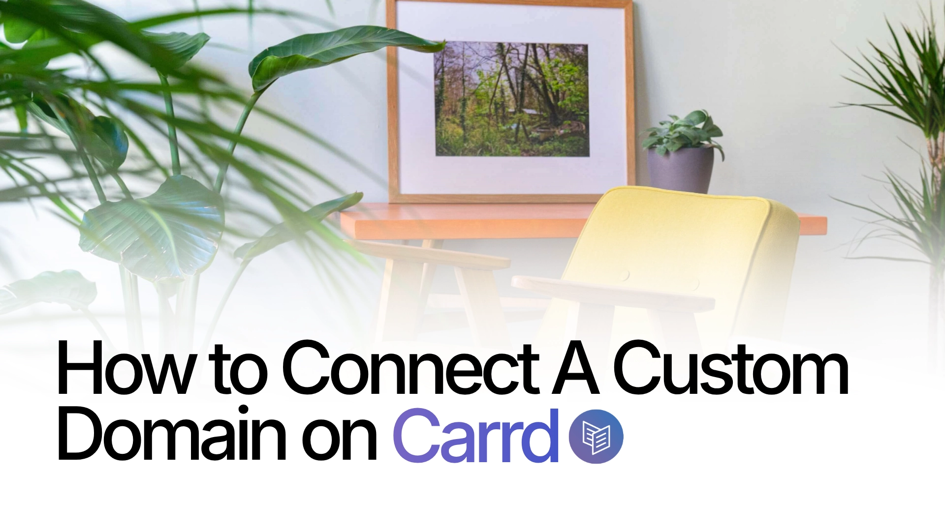 How to Connect a Custom Domain to a Carrd Website